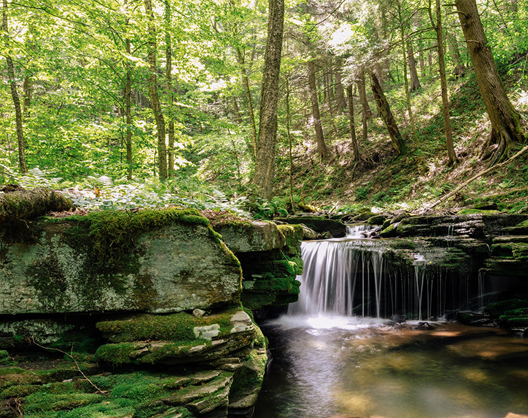 Waterfall