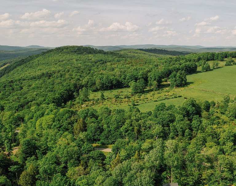 the catskill hills